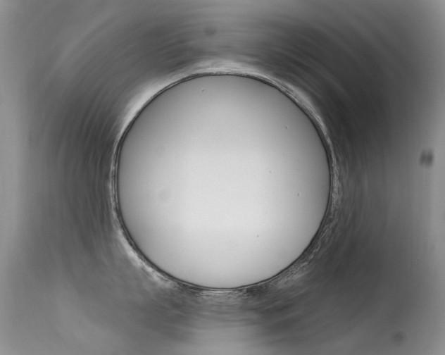 X0000113610863200909181050