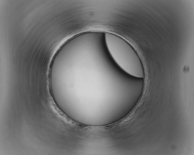 X0000113610864200909181050