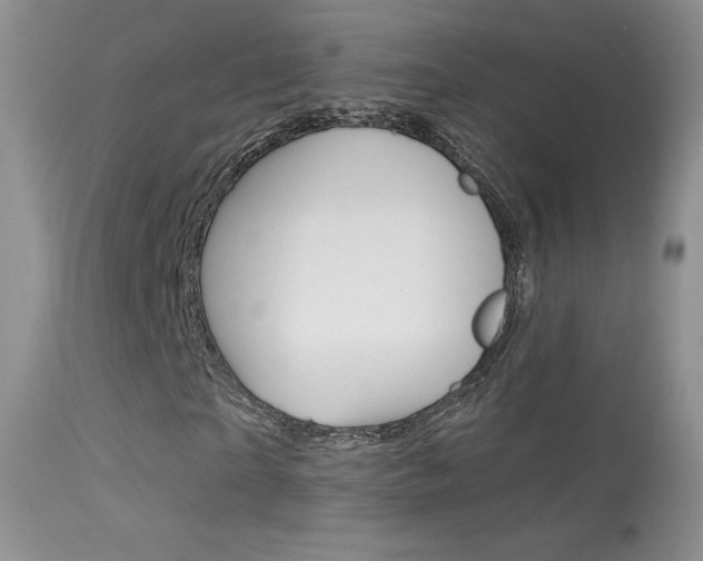 X0000113610865200909181049