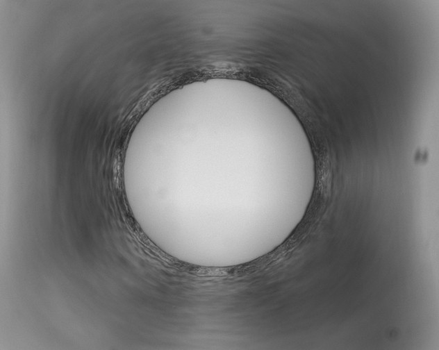 X0000113610866200909181049