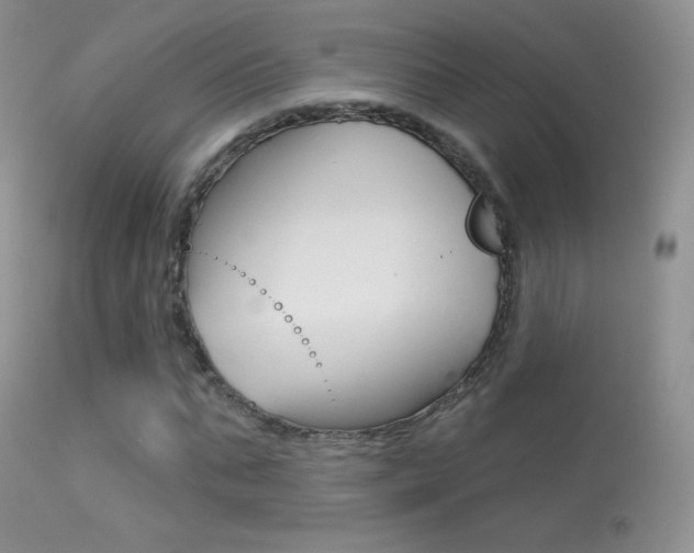 X0000113610871200909181049
