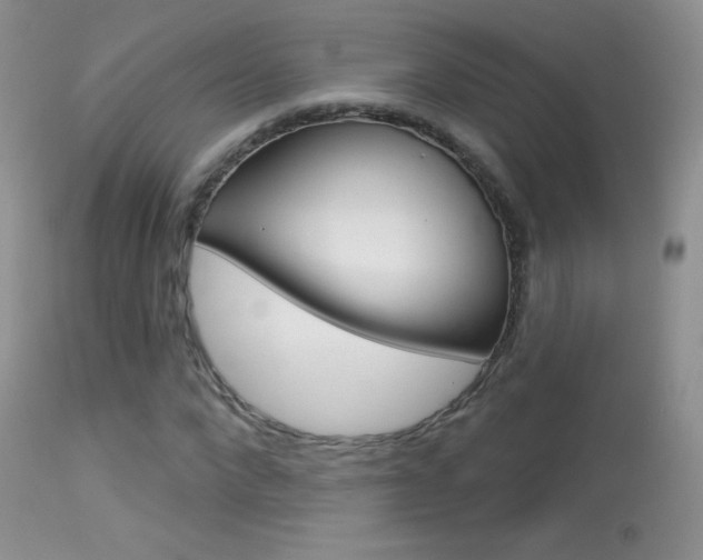 X0000113610872200909181049