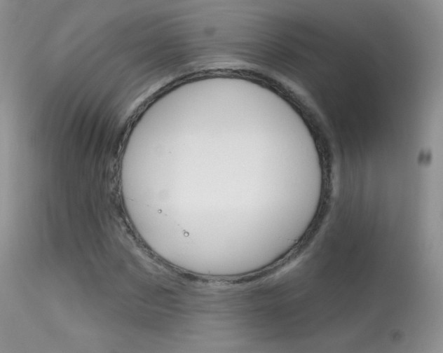 X0000113610873200909181049