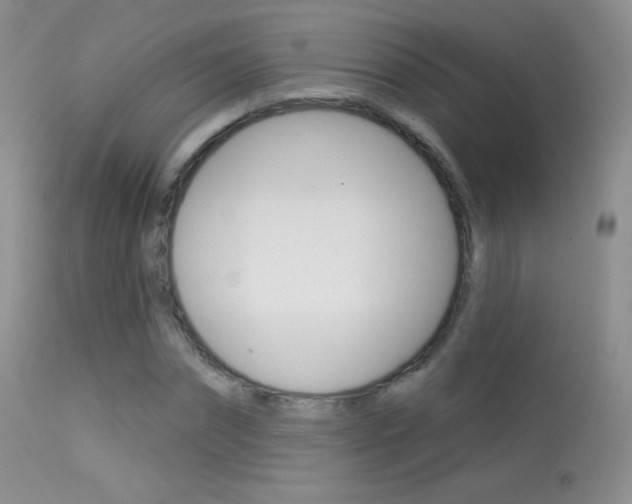 X0000113610874200909181049