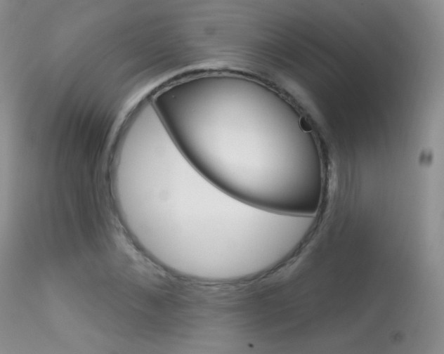 X0000113610876200909181049