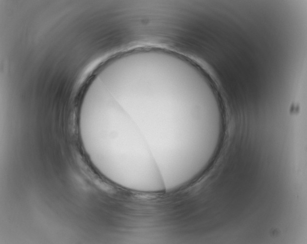 X0000113610878200909181049