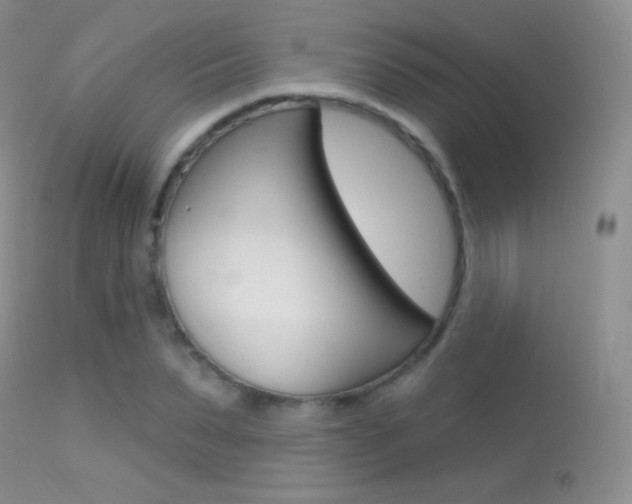 X0000113610879200909181049