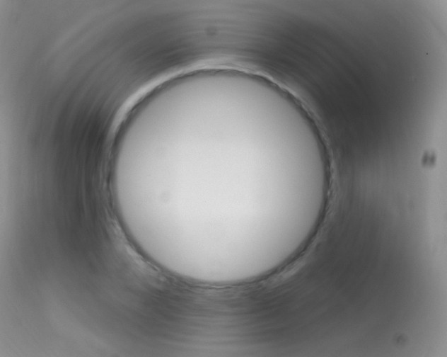 X0000113610880200909181049