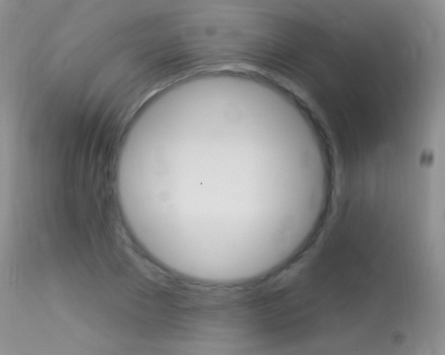X0000113610881200909181049