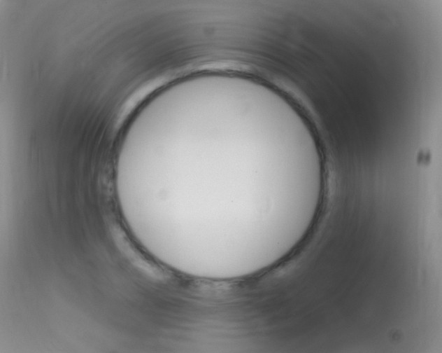 X0000113610882200909181049