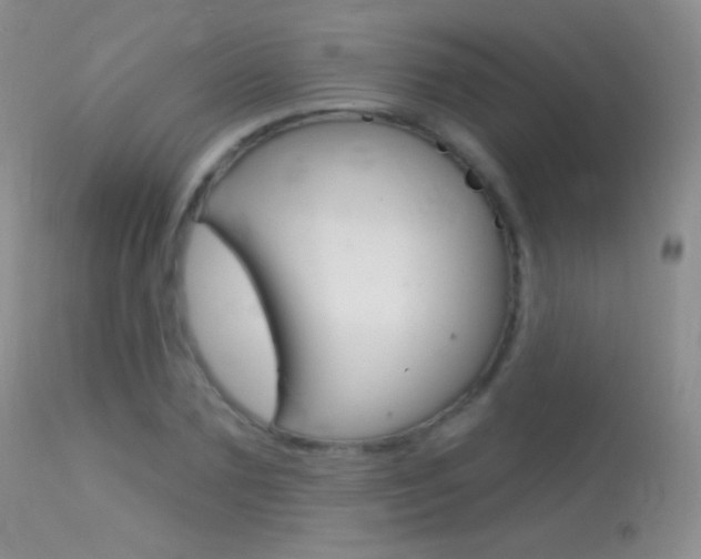 X0000113610883200909181049