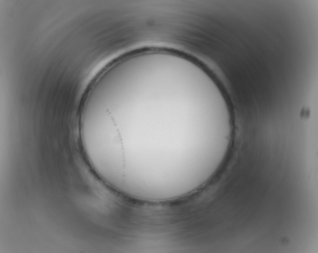 X0000113610887200909181049