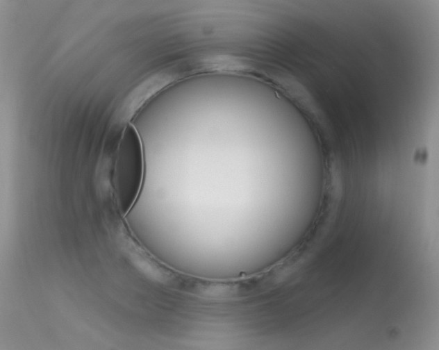 X0000113610889200909181049