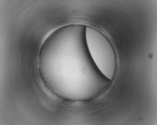 X0000113610891200909181049