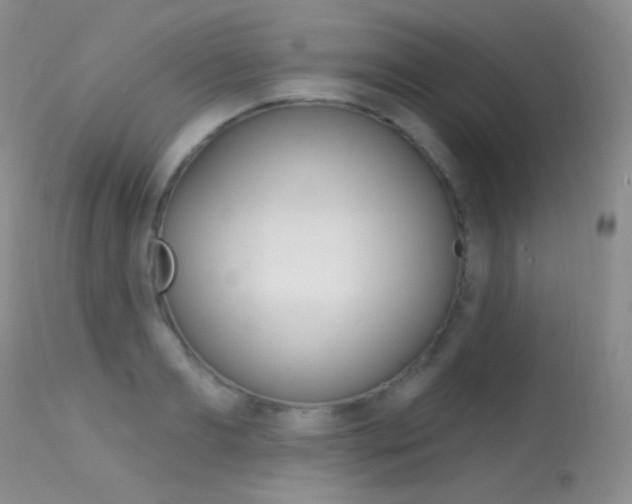 X0000113610893200909181049