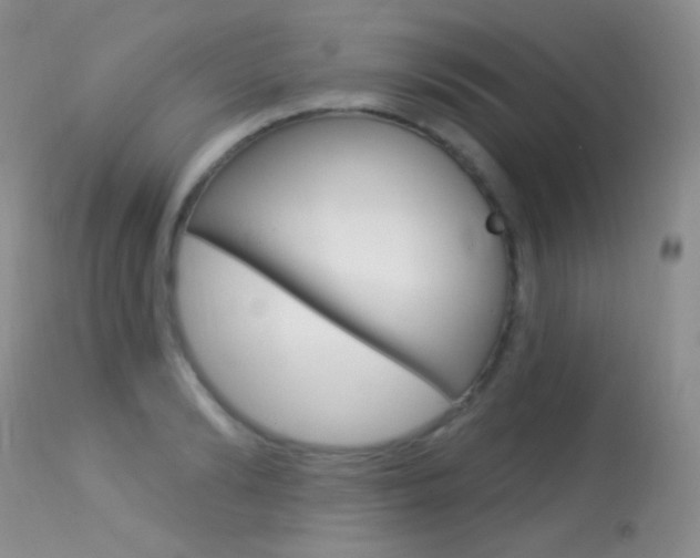 X0000113610894200909181049