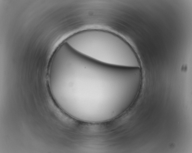 X0000113610895200909181049