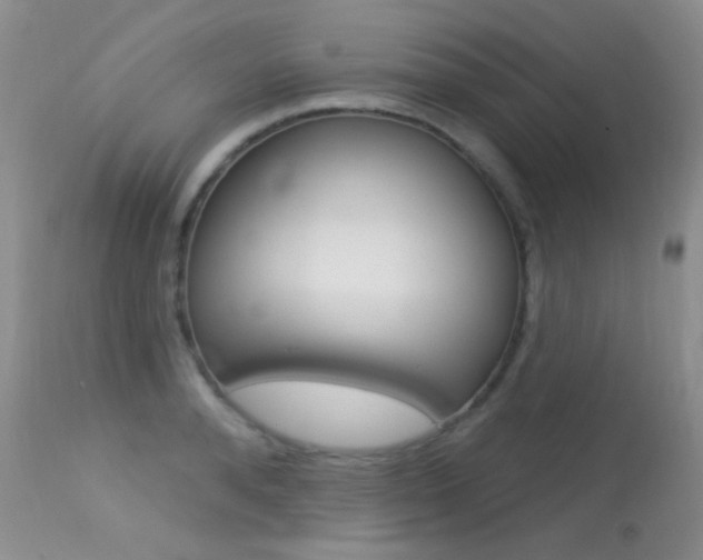 X0000113610896200909181049
