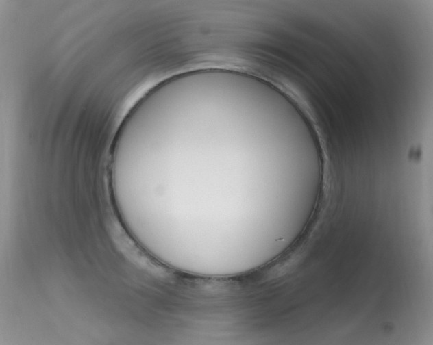 X0000113610899200909181048