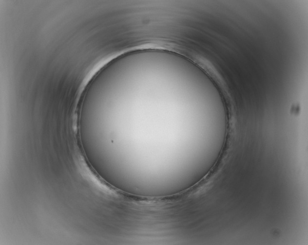 X0000113610900200909181048