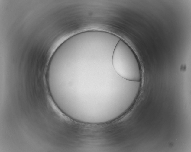 X0000113610901200909181048