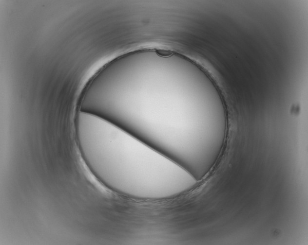 X0000113610902200909181048