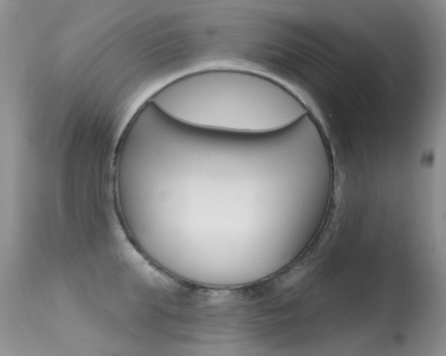 X0000113610903200909181048