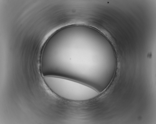 X0000113610904200909181048