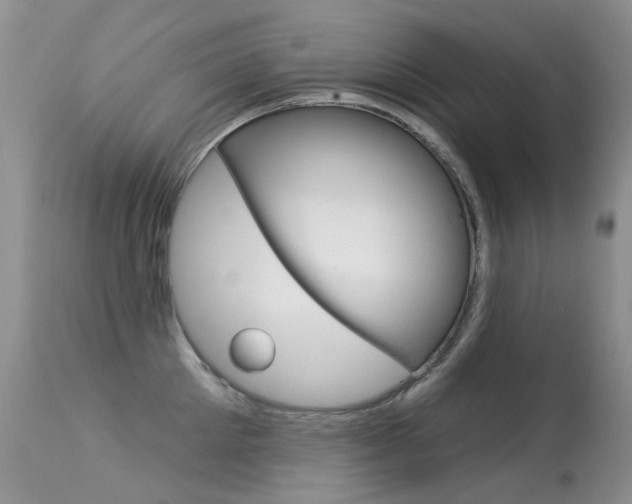 X0000113610905200909181048