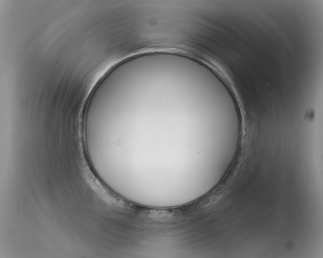 X0000113610907200909181048
