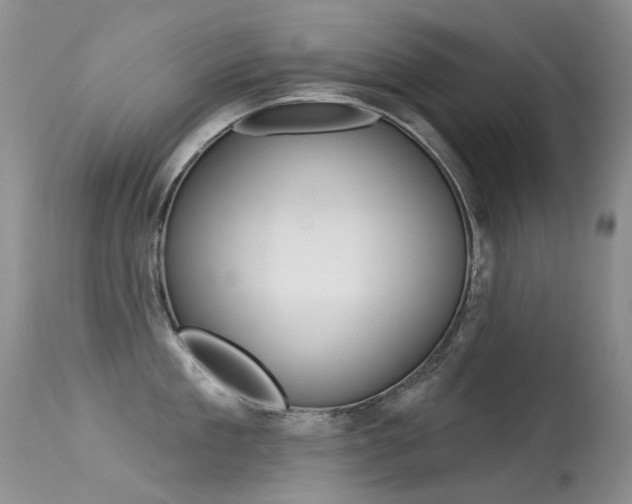 X0000113610909200909181048