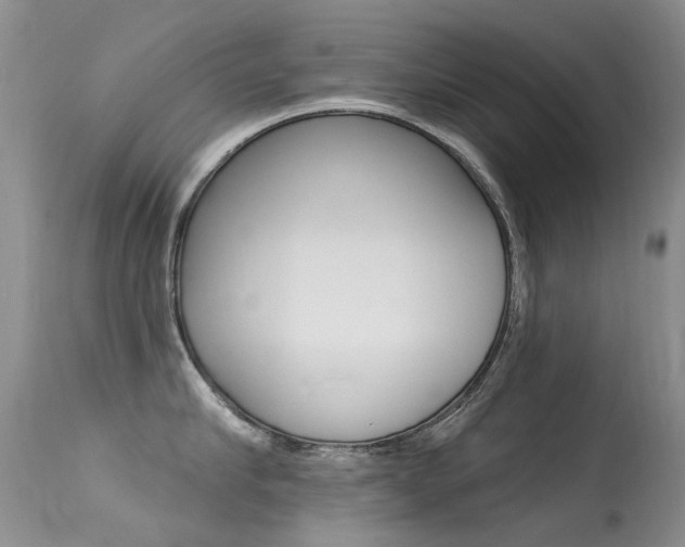 X0000113610910200909181048