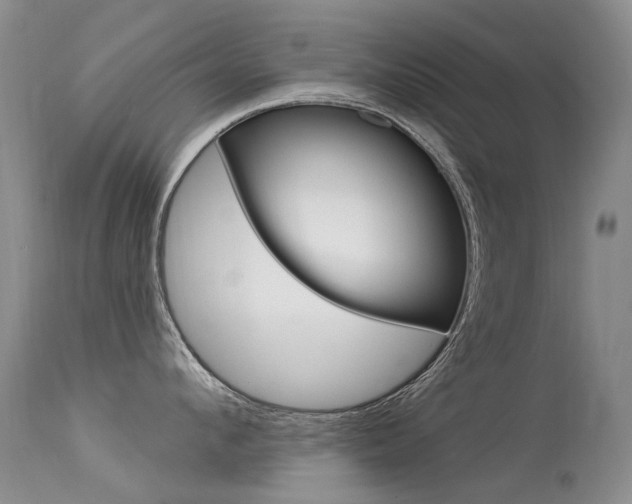 X0000113610912200909181048