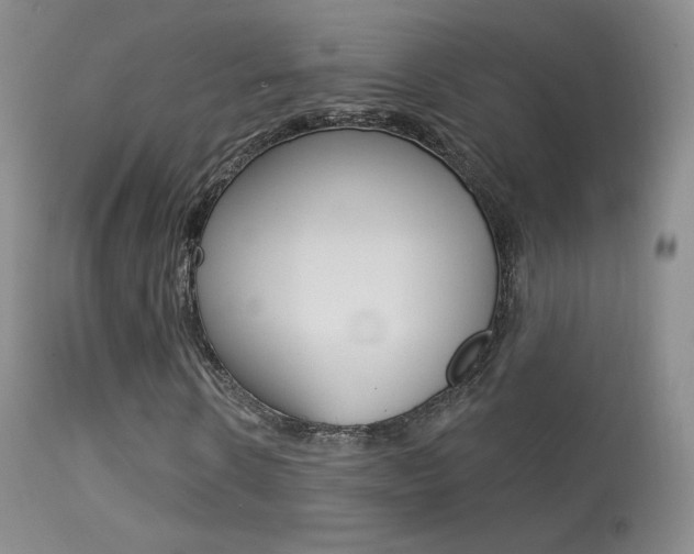 X0000113610914200909181048