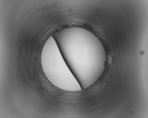 X0000113610915200909181048