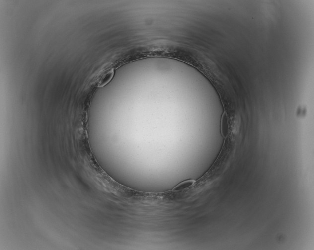 X0000113610916200909181048