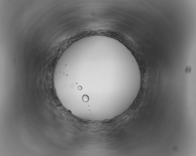 X0000113610917200909181048