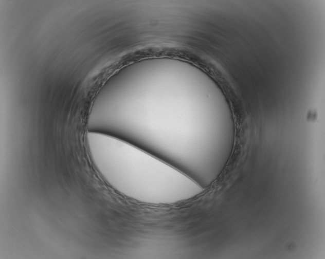 X0000113610919200909181048