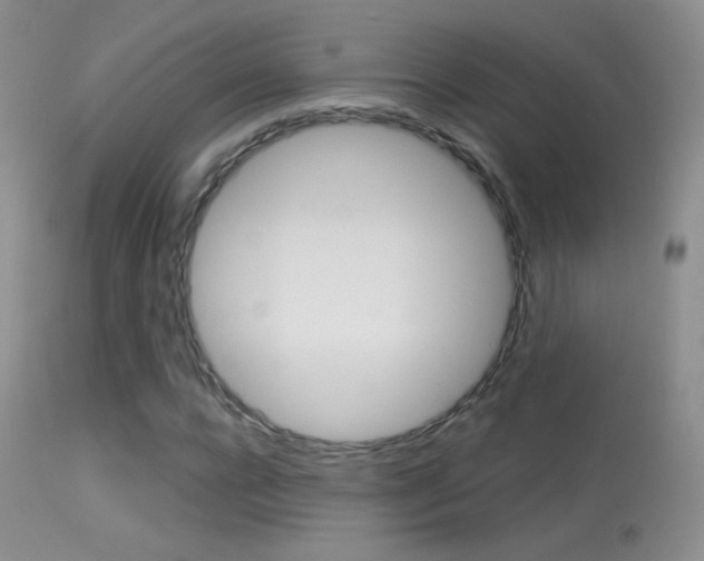 X0000113610920200909181048