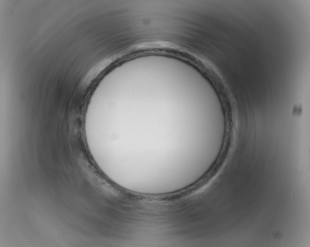 X0000113610921200909181048