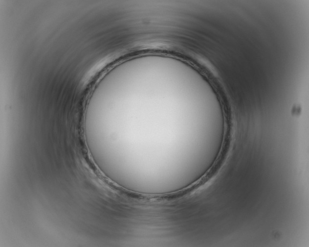 X0000113610922200909181048