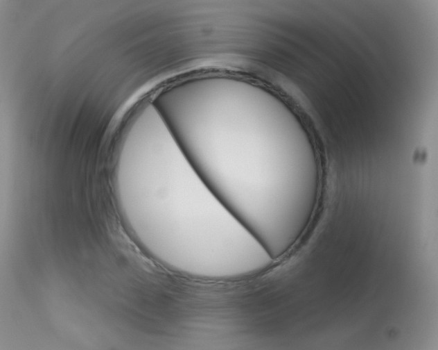 X0000113610923200909181048