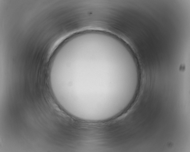 X0000113610926200909181048