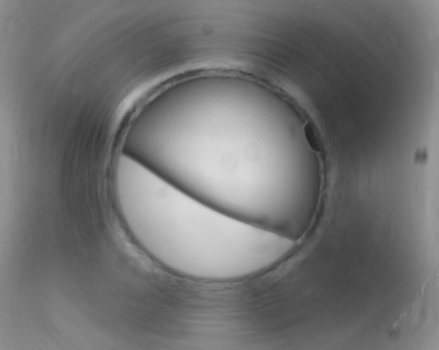 X0000113610928200909181048