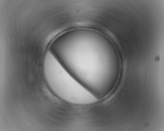X0000113610930200909181048
