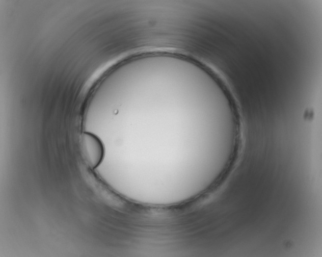 X0000113610933200909181048
