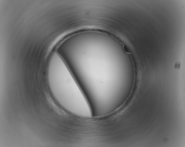 X0000113610934200909181048