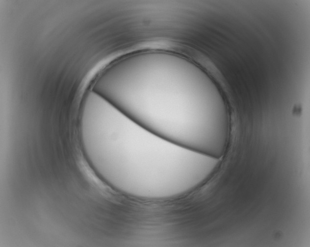 X0000113610939200909181048
