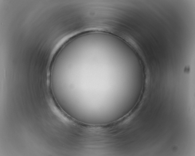 X0000113610940200909181048