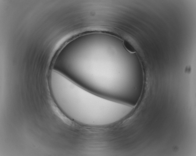 X0000113610942200909181048